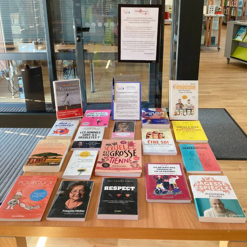 Livres sur une table de médiathèque prêts à être empruntés de nouveau , accessible via l'association SolaLuna21